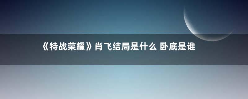 《特战荣耀》肖飞结局是什么 卧底是谁